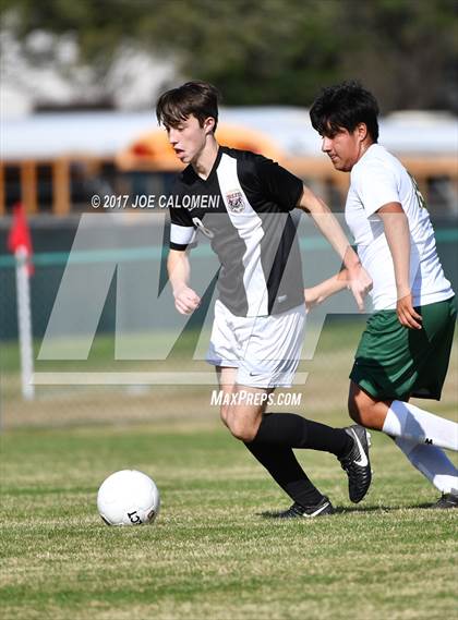 Thumbnail 1 in Churchill vs Holmes photogallery.