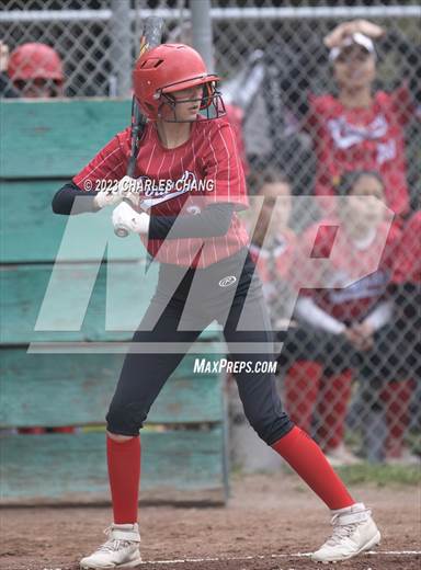 null - Photo 01