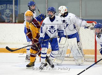 Thumbnail 2 in South Windsor @ West Haven photogallery.
