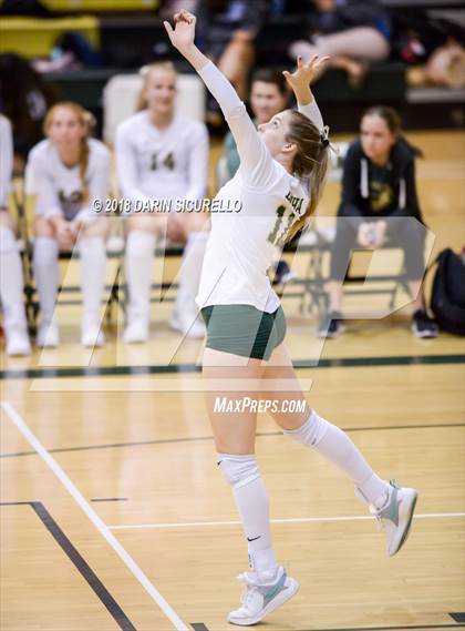 Thumbnail 3 in North @ Basha photogallery.