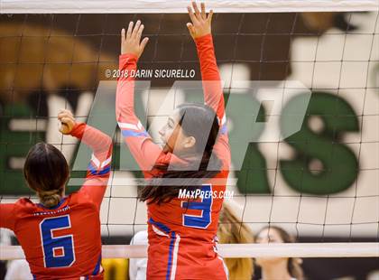 Thumbnail 3 in North @ Basha photogallery.