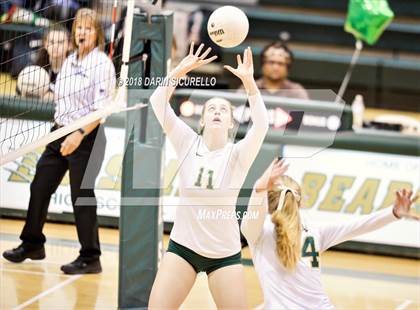 Thumbnail 2 in North @ Basha photogallery.