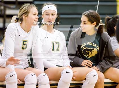 Thumbnail 3 in North @ Basha photogallery.