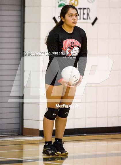 Thumbnail 3 in North @ Basha photogallery.