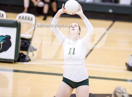 Thumbnail 3 in North @ Basha photogallery.