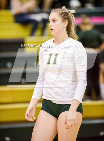 Thumbnail 3 in North @ Basha photogallery.