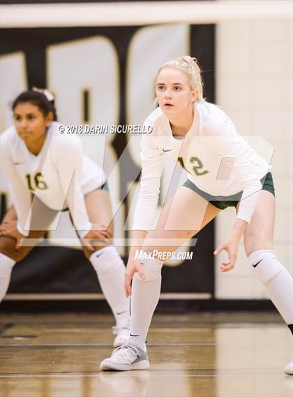 Thumbnail 3 in North @ Basha photogallery.