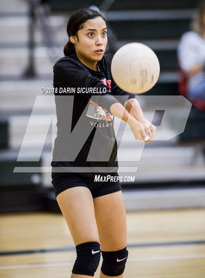 Thumbnail 3 in North @ Basha photogallery.
