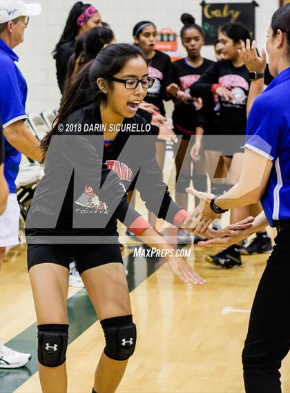 Thumbnail 3 in North @ Basha photogallery.
