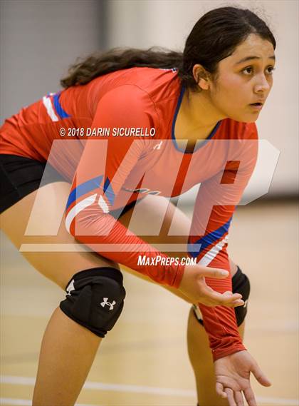 Thumbnail 1 in North @ Basha photogallery.