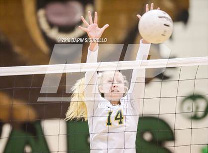 Thumbnail 1 in North @ Basha photogallery.