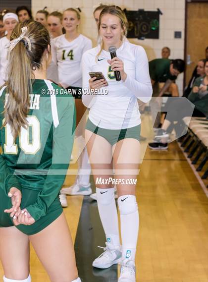 Thumbnail 3 in North @ Basha photogallery.