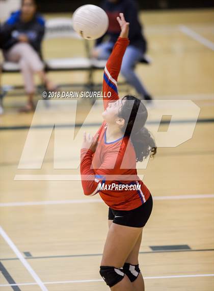 Thumbnail 3 in North @ Basha photogallery.