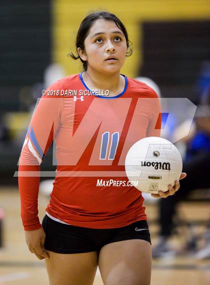 Thumbnail 1 in North @ Basha photogallery.