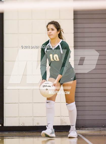 Thumbnail 2 in North @ Basha photogallery.