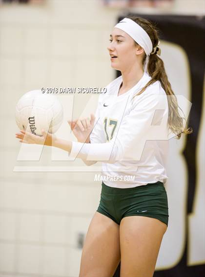 Thumbnail 2 in North @ Basha photogallery.