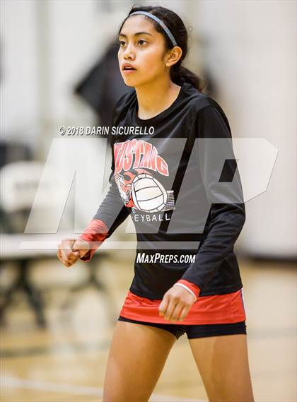 Thumbnail 2 in North @ Basha photogallery.