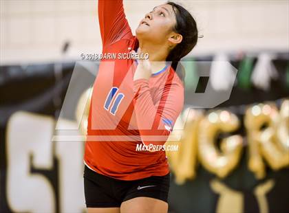 Thumbnail 2 in North @ Basha photogallery.