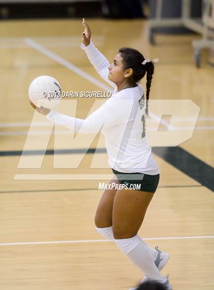 Thumbnail 1 in North @ Basha photogallery.