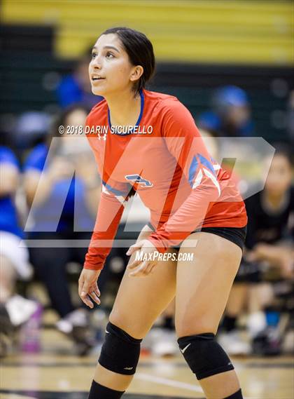 Thumbnail 2 in North @ Basha photogallery.