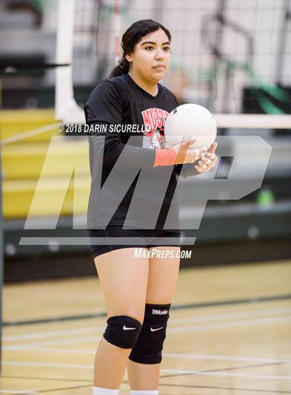 Thumbnail 2 in North @ Basha photogallery.