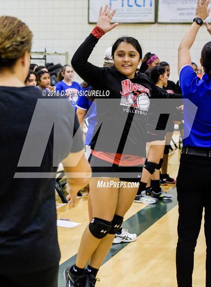 Thumbnail 3 in North @ Basha photogallery.