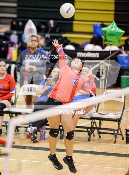 Thumbnail 2 in North @ Basha photogallery.