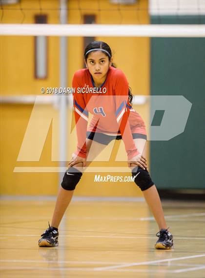 Thumbnail 1 in North @ Basha photogallery.