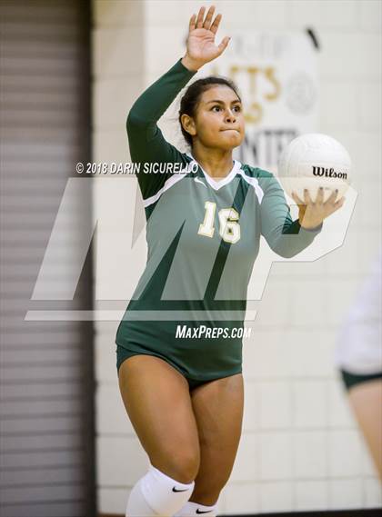 Thumbnail 1 in North @ Basha photogallery.