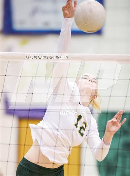 Thumbnail 2 in North @ Basha photogallery.