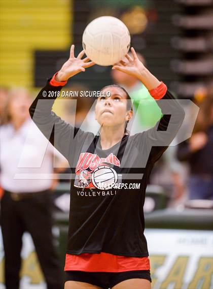 Thumbnail 1 in North @ Basha photogallery.