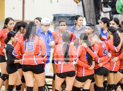 Thumbnail 3 in North @ Basha photogallery.