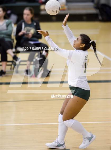 Thumbnail 2 in North @ Basha photogallery.