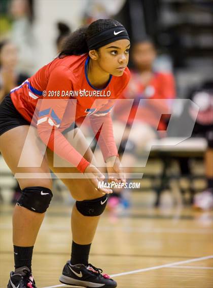 Thumbnail 3 in North @ Basha photogallery.