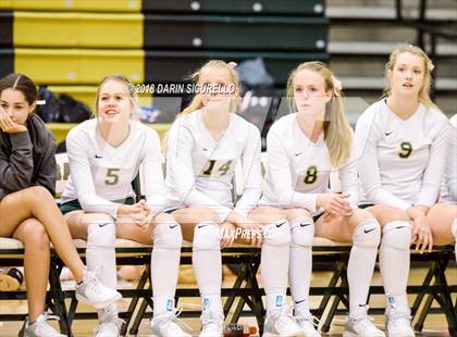 Thumbnail 3 in North @ Basha photogallery.