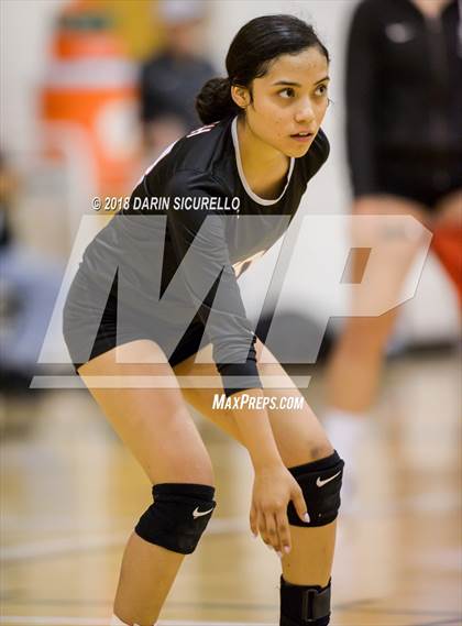 Thumbnail 1 in North @ Basha photogallery.