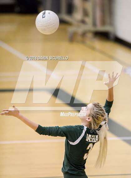 Thumbnail 2 in North @ Basha photogallery.