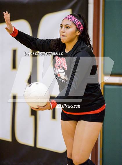 Thumbnail 3 in North @ Basha photogallery.