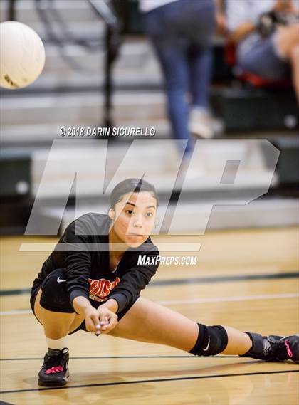 Thumbnail 3 in North @ Basha photogallery.