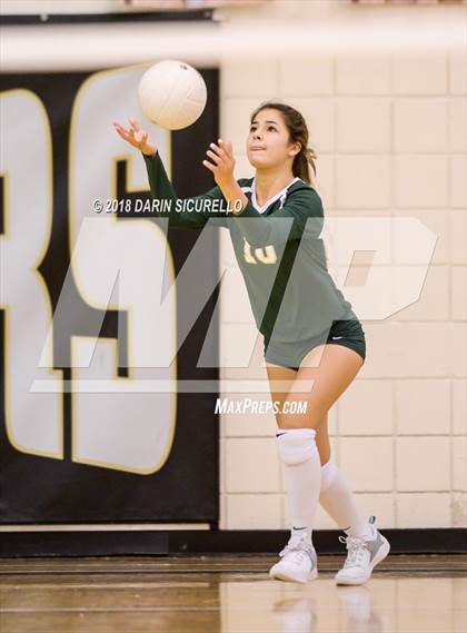 Thumbnail 3 in North @ Basha photogallery.