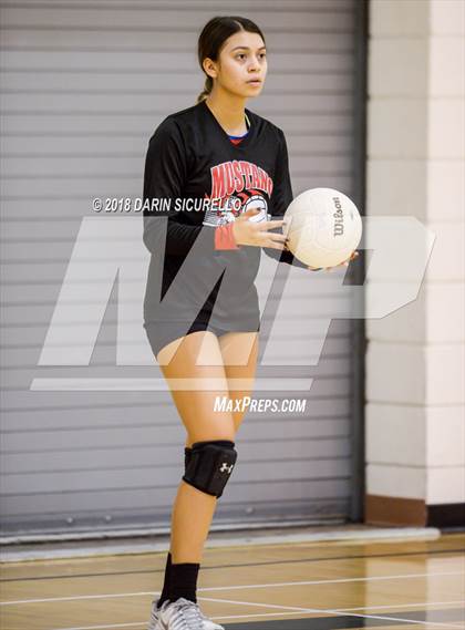 Thumbnail 2 in North @ Basha photogallery.
