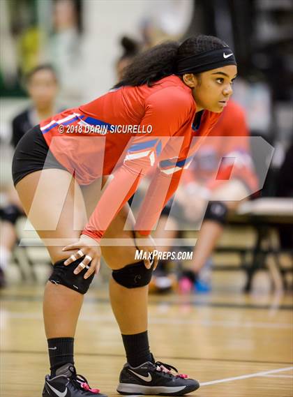 Thumbnail 2 in North @ Basha photogallery.