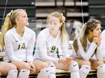 Thumbnail 3 in North @ Basha photogallery.
