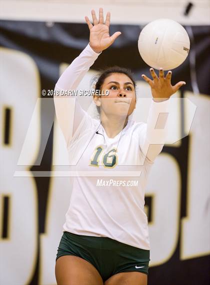 Thumbnail 2 in North @ Basha photogallery.