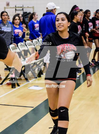 Thumbnail 2 in North @ Basha photogallery.
