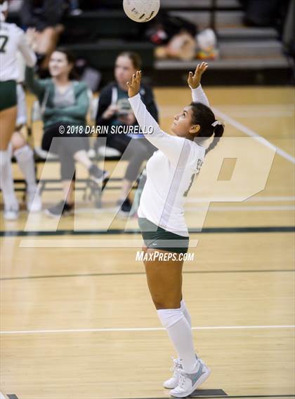 Thumbnail 3 in North @ Basha photogallery.