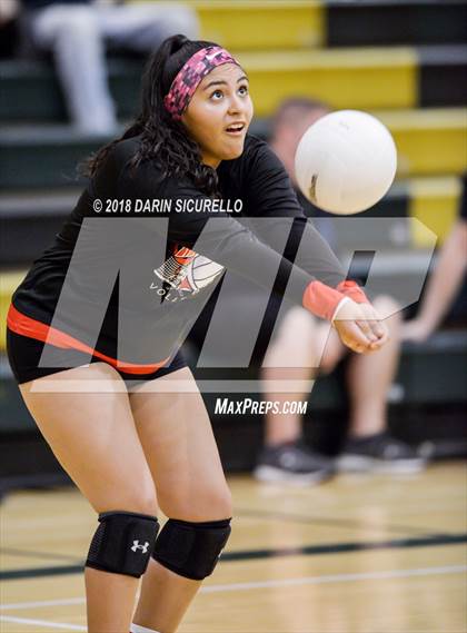 Thumbnail 2 in North @ Basha photogallery.