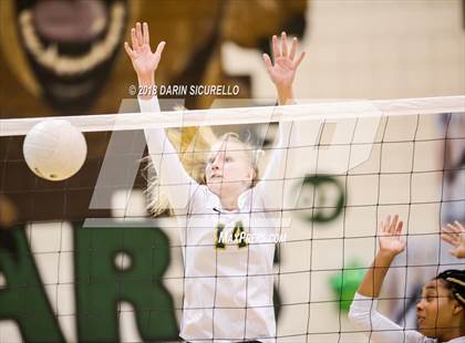Thumbnail 2 in North @ Basha photogallery.