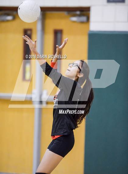 Thumbnail 2 in North @ Basha photogallery.
