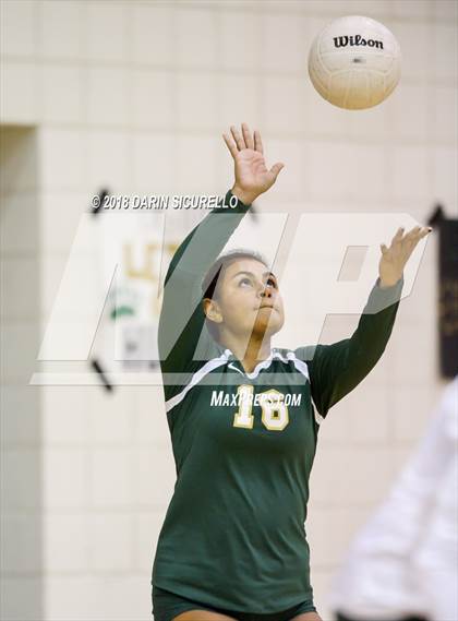 Thumbnail 2 in North @ Basha photogallery.